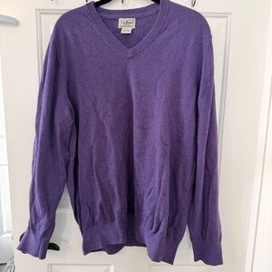 L.L. Bean Men's V-Neck Sweater in Deep Purple